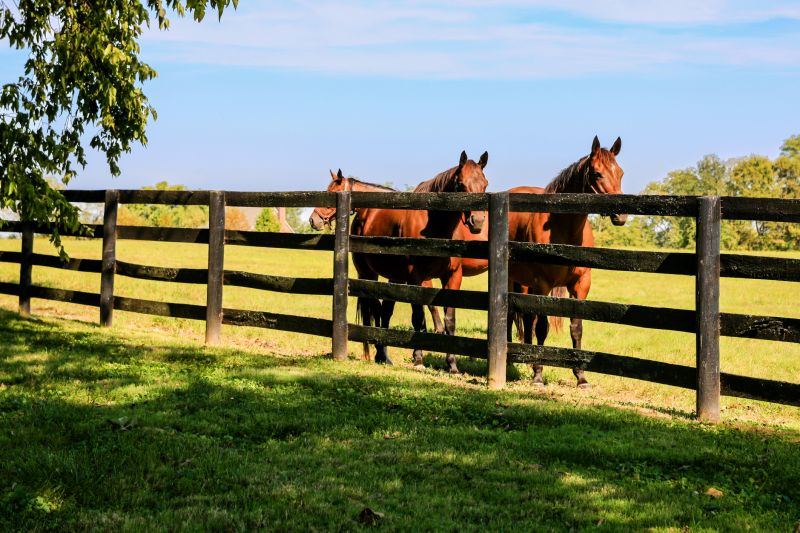 Stable Fencing Installation in Sacramento, CA